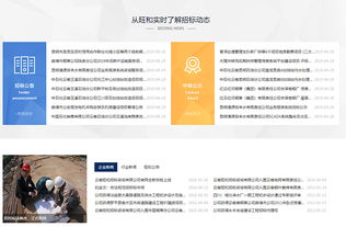 旺和招標(biāo)咨詢 專業(yè)引領(lǐng)，精準(zhǔn)服務(wù)工程招標(biāo)與商務(wù)信息咨詢